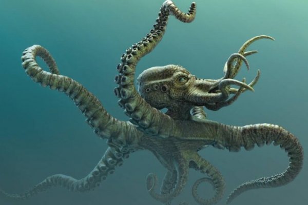 Kraken